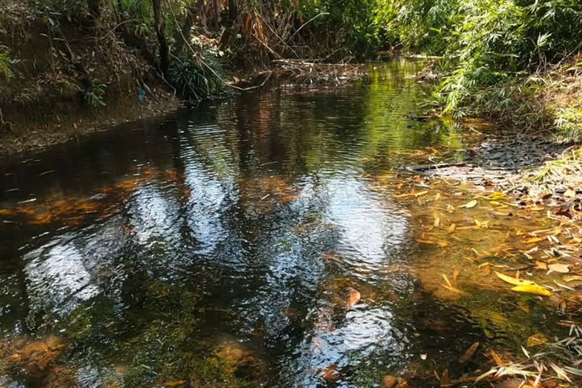 Land for Sale in Manalo, Puerto Princesa, Palawan – photo 2