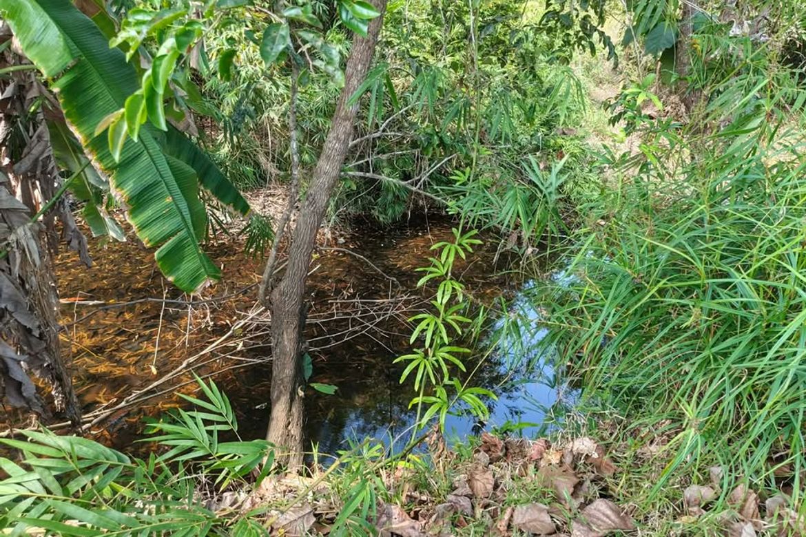 Land for Sale in Manalo, Puerto Princesa, Palawan – photo 6