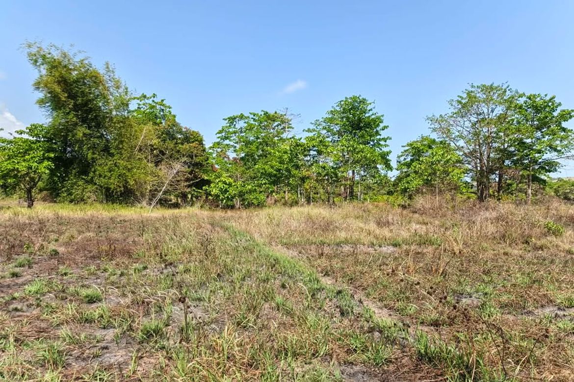 Land for Sale in Manalo, Puerto Princesa, Palawan – photo 8