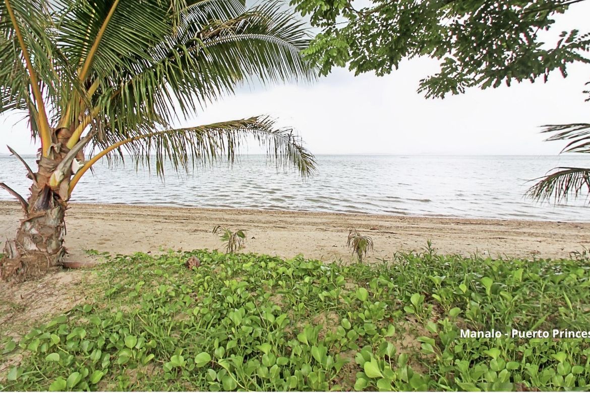 Land for Sale in Manalo, Puerto Princesa, Palawan – photo 2
