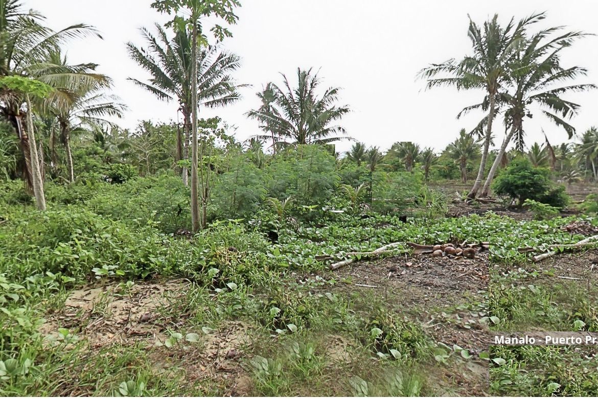 Land for Sale in Manalo, Puerto Princesa, Palawan – photo 6