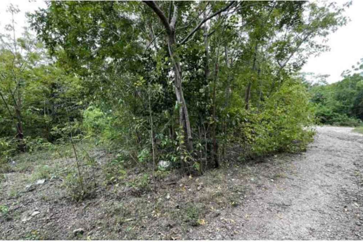 Land for Sale in Manan-Ao, Enrique Villanueva, Siquijor – photo 2