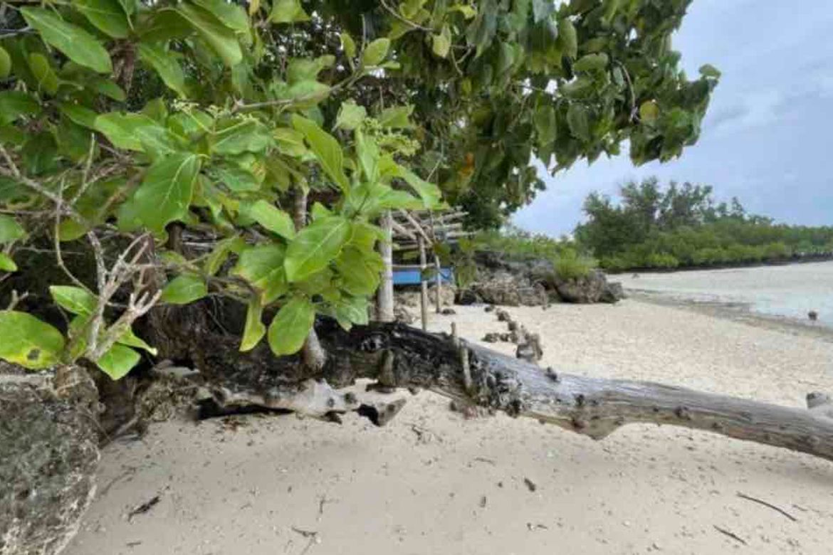 Land for Sale in Manan-Ao, Enrique Villanueva, Siquijor – photo 7