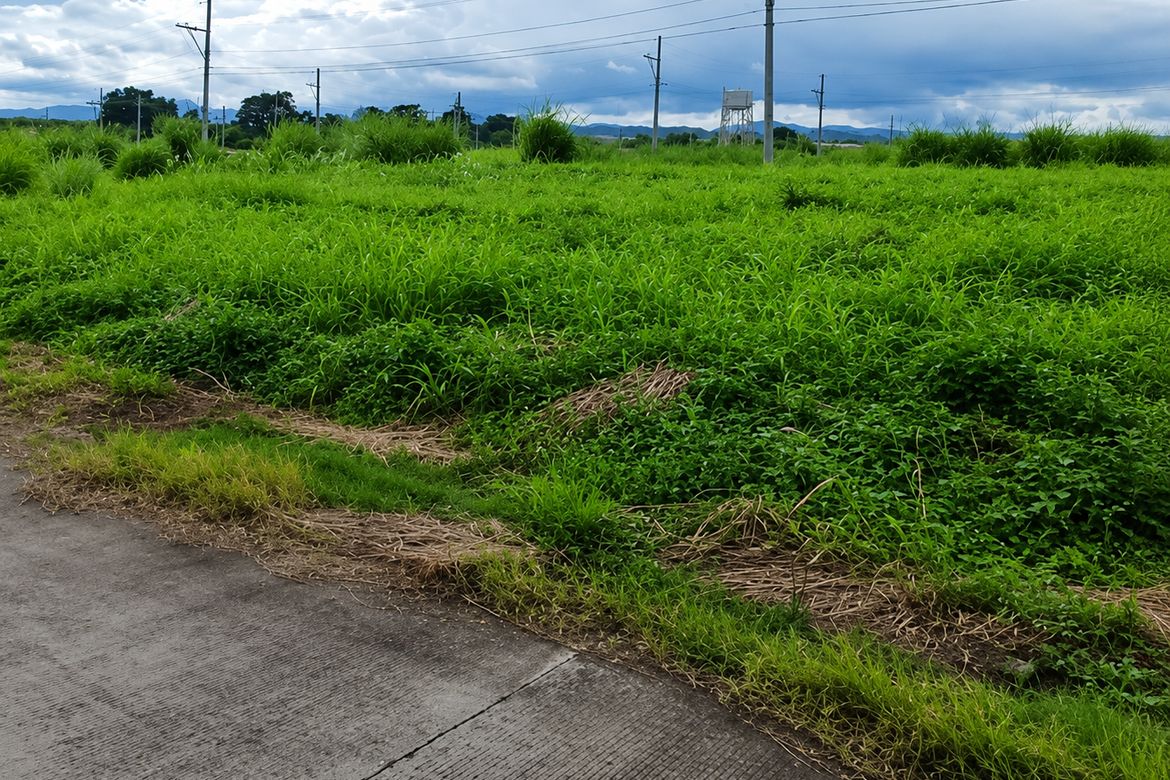 Land for Sale in Mancatian, Porac, Pampanga – photo 4