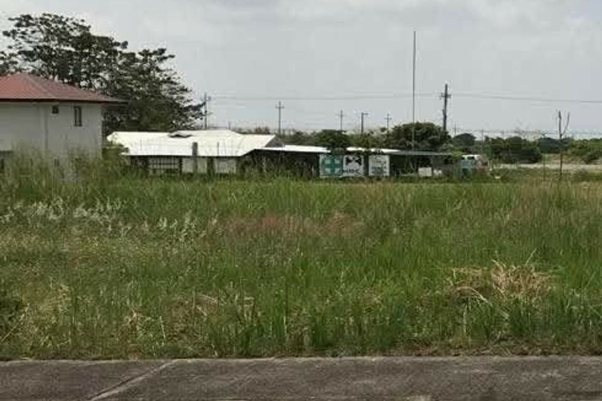 Land for Sale in Mancatian, Porac, Pampanga – photo 4