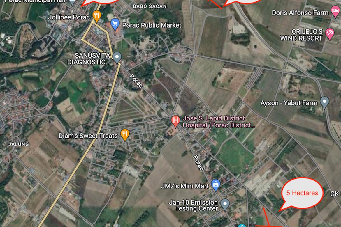 Land for Sale in Mancatian, Porac, Pampanga – photo 5