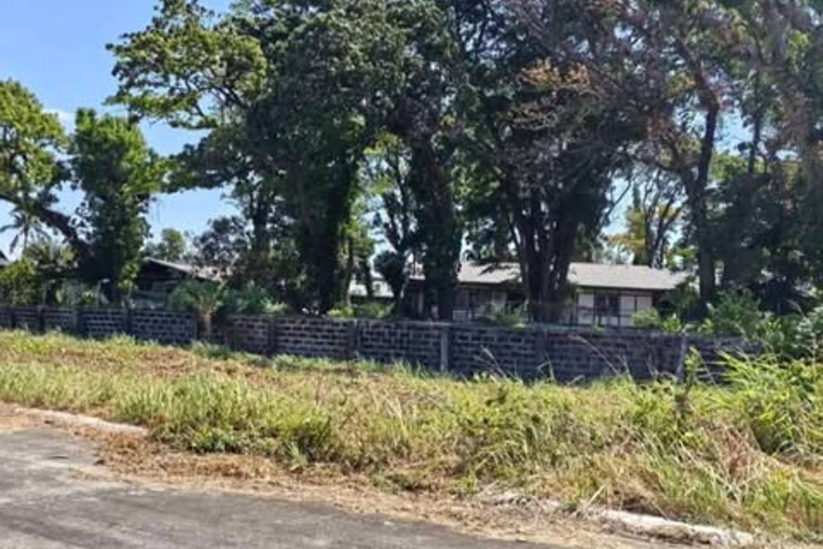 Land for Sale in Mandalagan, Bacolod, Negros Occidental