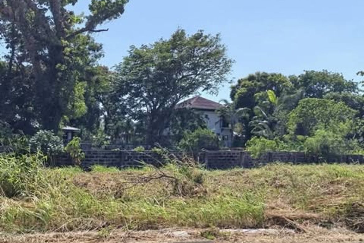 Land for Sale in Mandalagan, Bacolod, Negros Occidental – photo 2