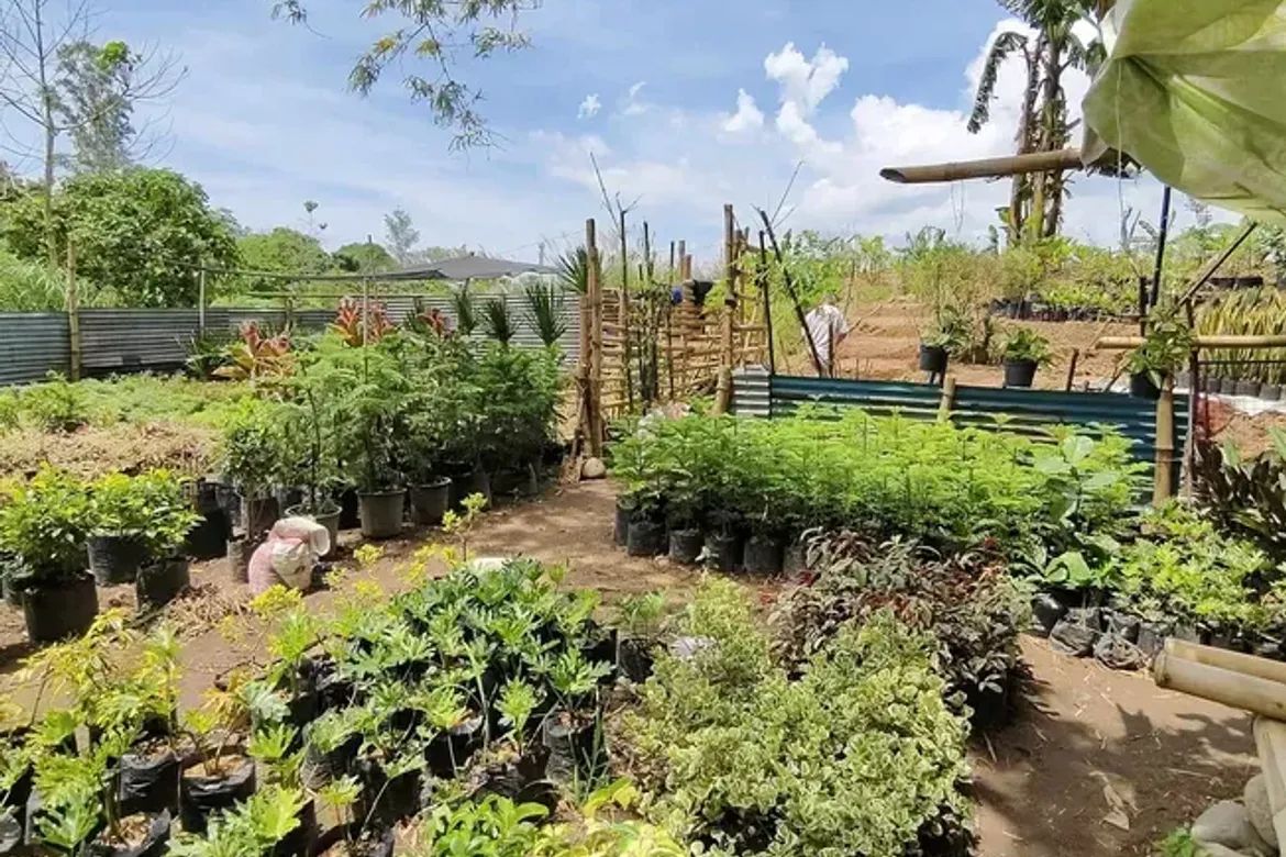 Land for Sale in Mandalagan, Bacolod, Negros Occidental – photo 2