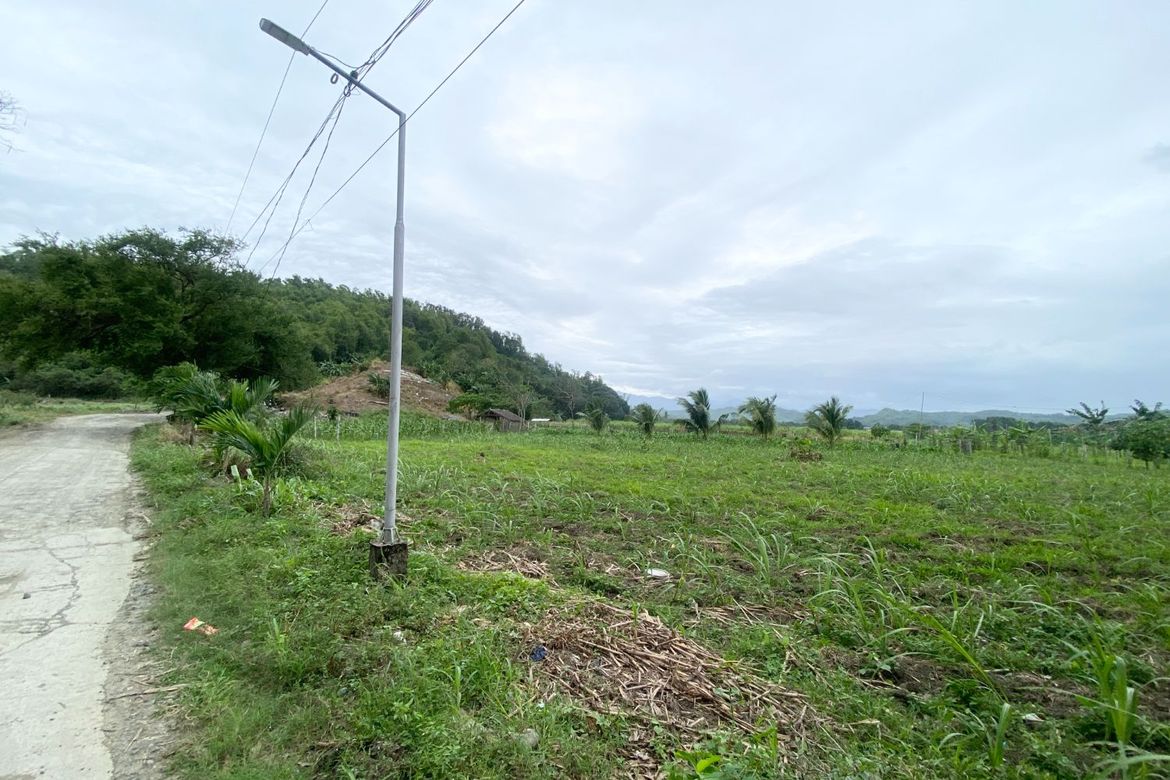 Land for Sale in Mandog, Maasin, Iloilo – photo 3