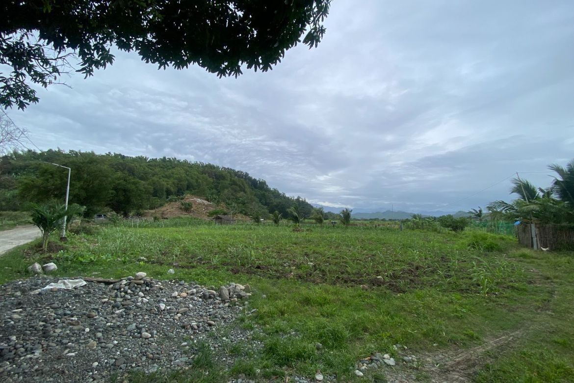 Land for Sale in Mandog, Maasin, Iloilo – photo 4