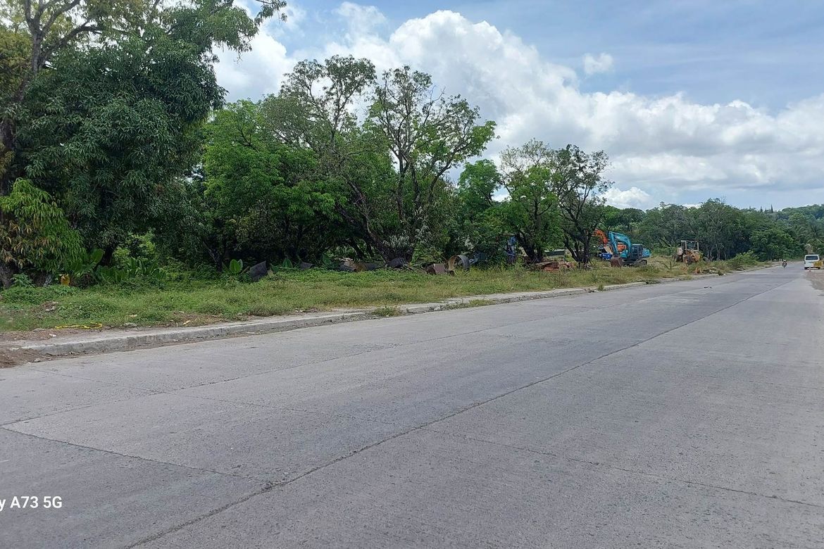 Land for Sale in Mandug, Davao City, Davao del Sur – photo 3