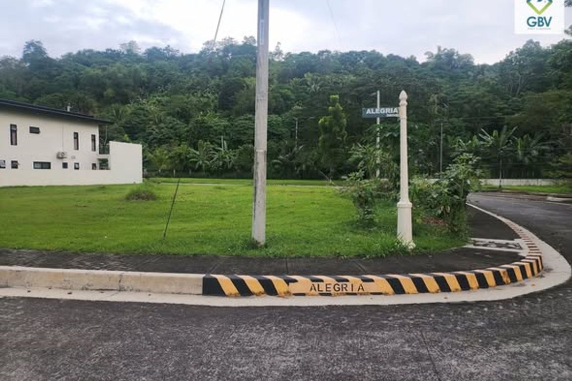 Land for Sale in Mandug, Davao City, Davao del Sur – photo 4