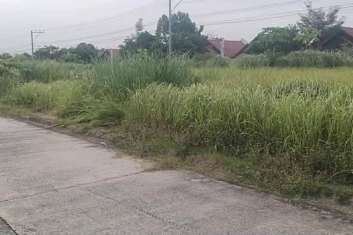 Land for Sale in Mandug, Davao City, Davao del Sur – photo 8