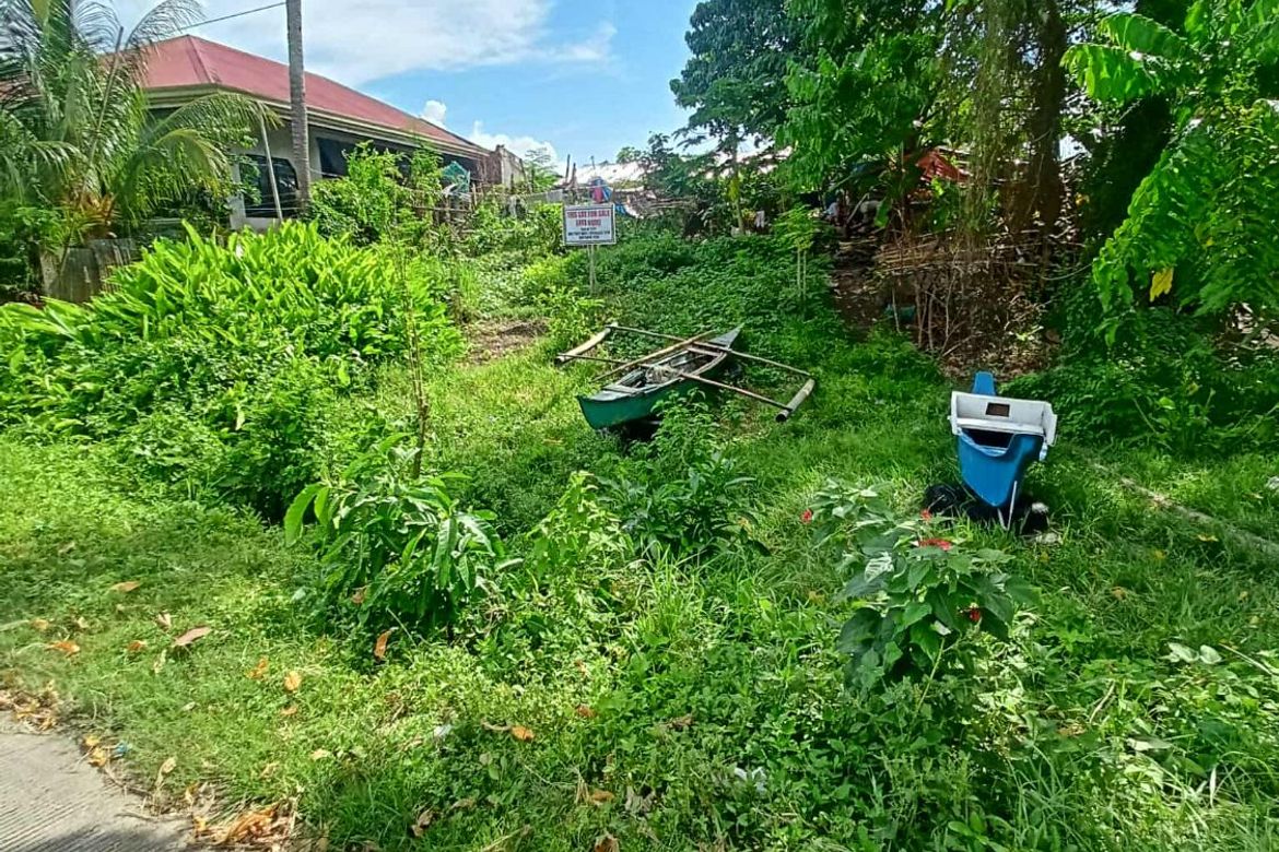 Land for Sale in Manga, Tagbilaran, Bohol – photo 4