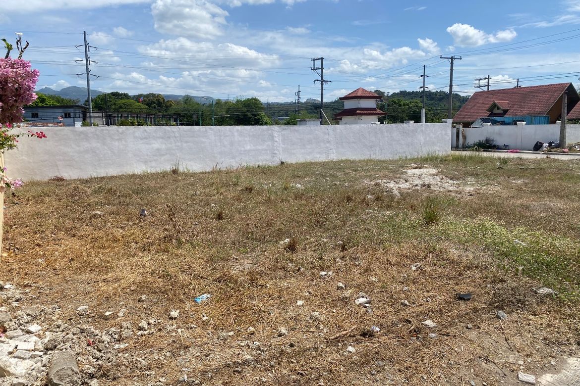 Land for Sale in Mangan-Vaca, Subic, Zambales – photo 4