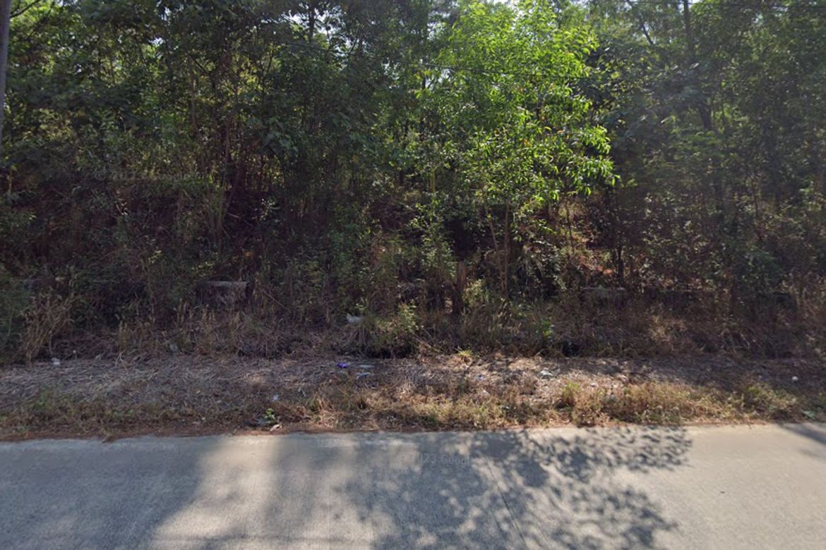 Land for Sale in Mangan-Vaca, Subic, Zambales – photo 2