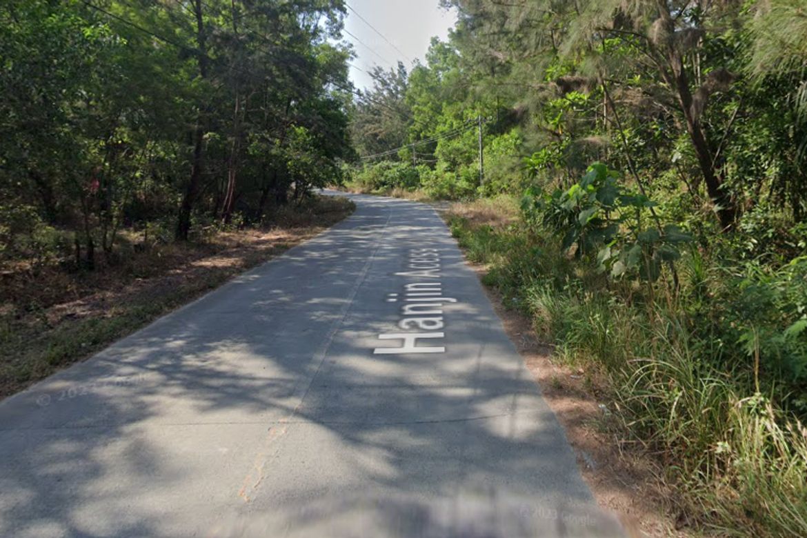 Land for Sale in Mangan-Vaca, Subic, Zambales – photo 4