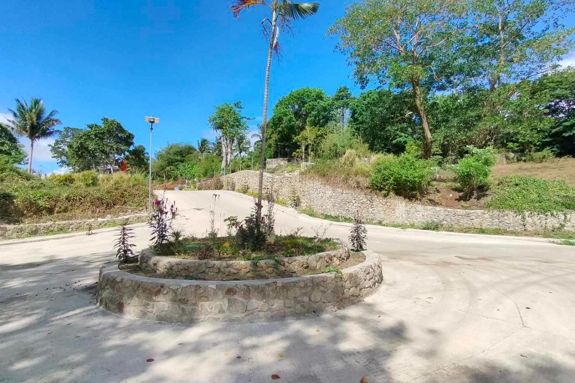 Land for Sale in Mangas I, Alfonso, Cavite