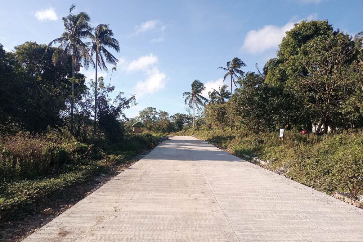 Land for Sale in Mangas I, Alfonso, Cavite – photo 2