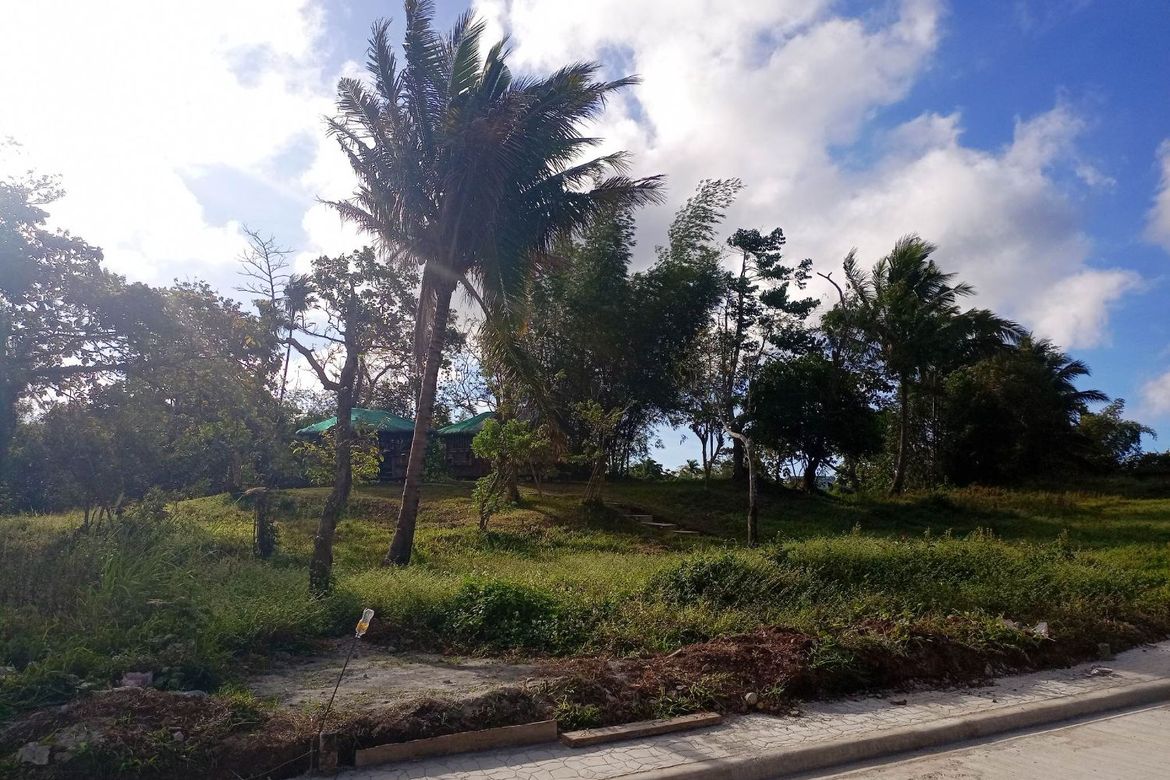 Land for Sale in Mangas I, Alfonso, Cavite – photo 5