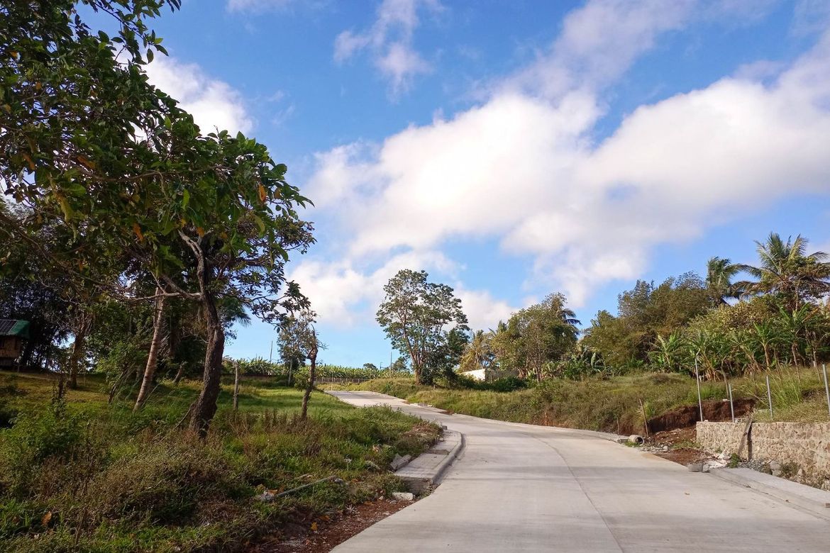 Land for Sale in Mangas I, Alfonso, Cavite – photo 6