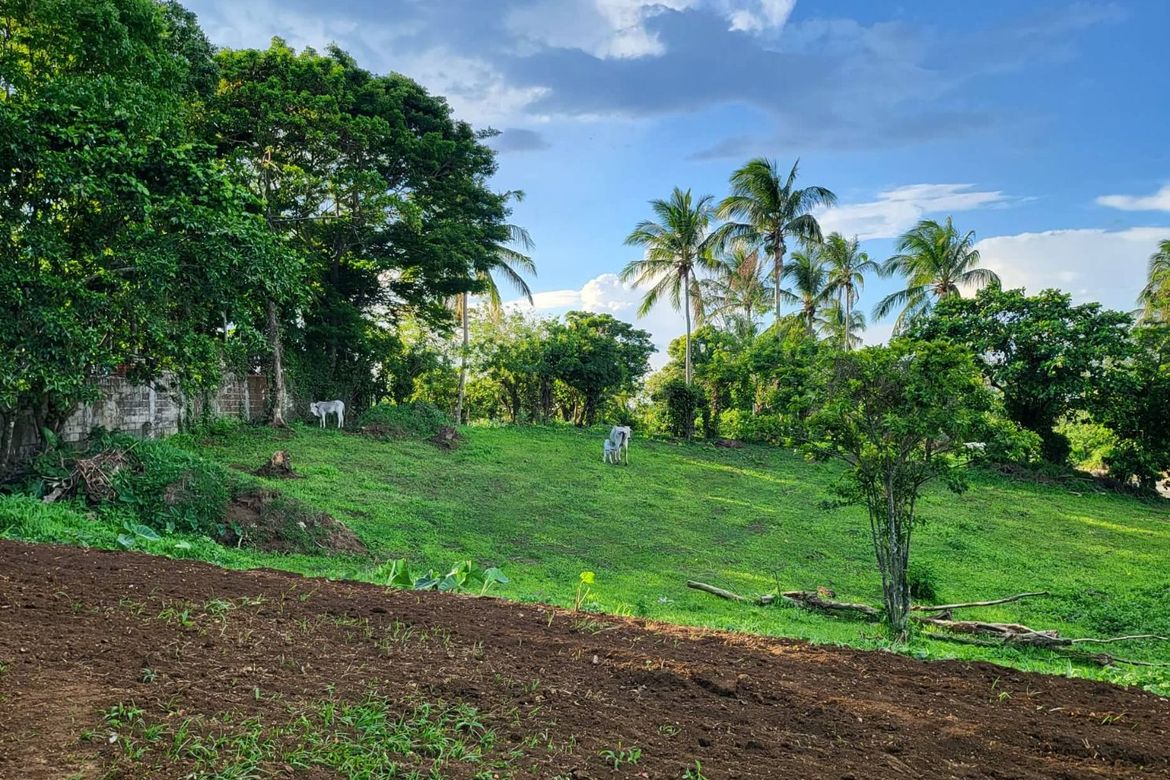 Land for Sale in Mangas I, Alfonso, Cavite – photo 8