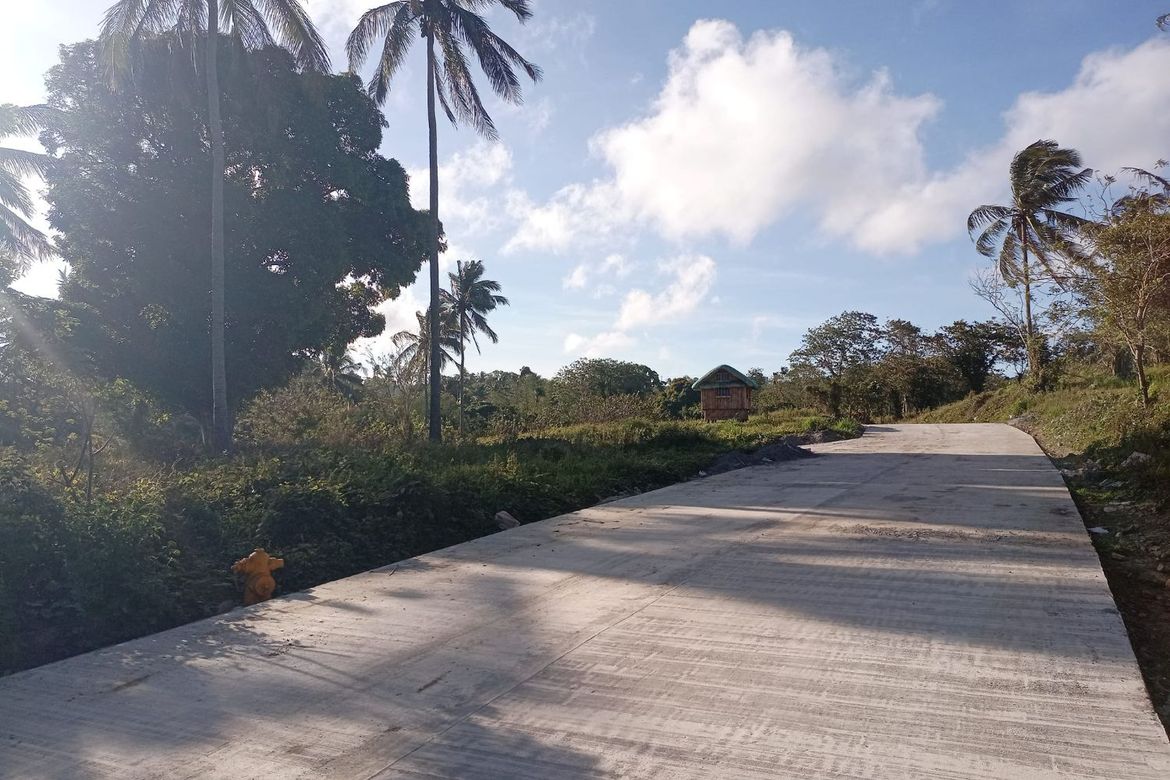 Land for Sale in Mangas I, Alfonso, Cavite – photo 2