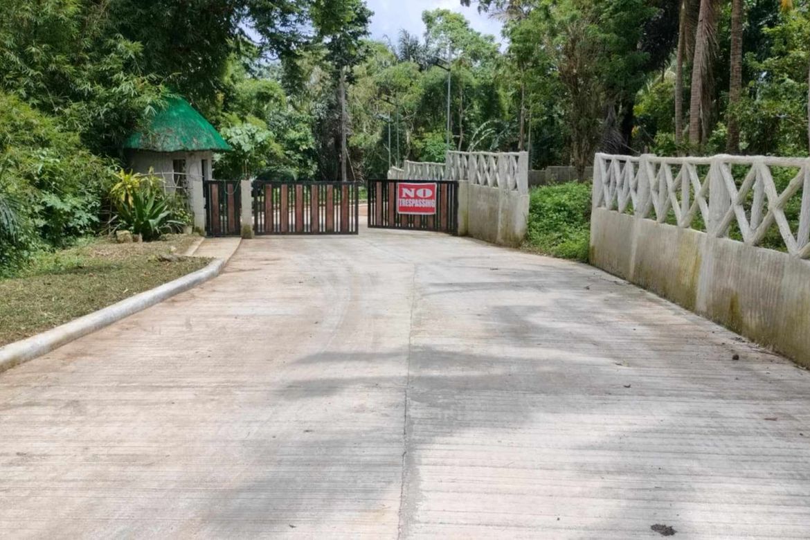 Land for Sale in Mangas I, Alfonso, Cavite – photo 4