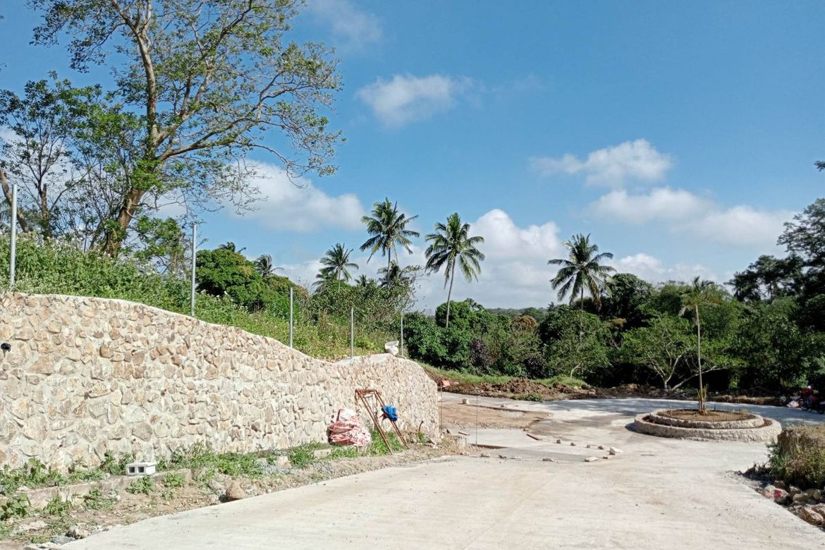 Land for Sale in Mangas I, Alfonso, Cavite
