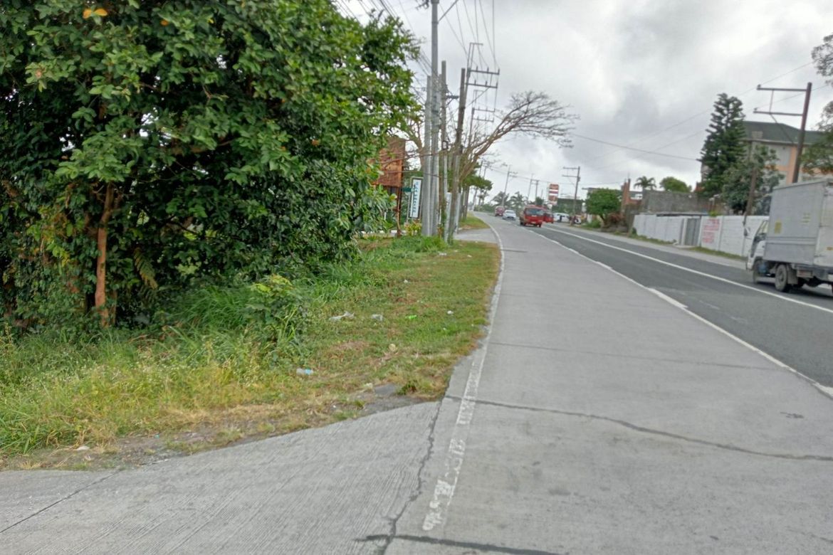 Land for Sale in Mangas I, Alfonso, Cavite – photo 3