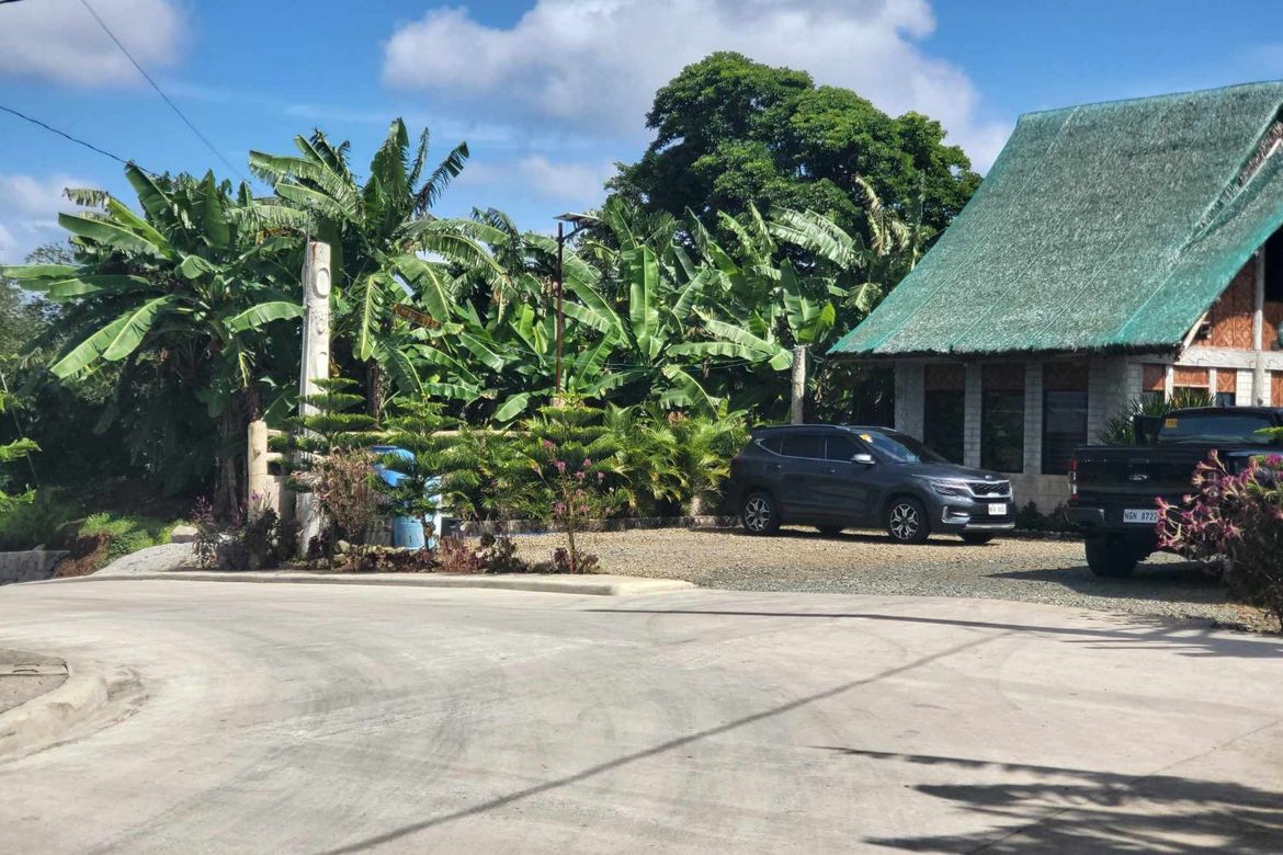 Land for Sale in Mangas I, Alfonso, Cavite – photo 6