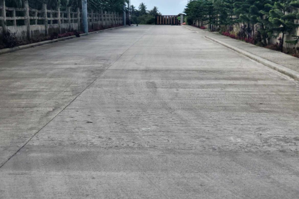 Land for Sale in Mangas I, Alfonso, Cavite – photo 8
