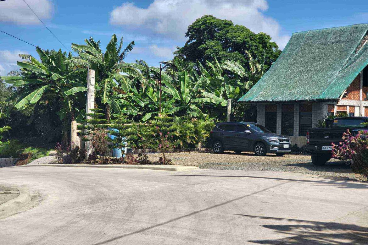 Land for Sale in Mangas I, Alfonso, Cavite – photo 4