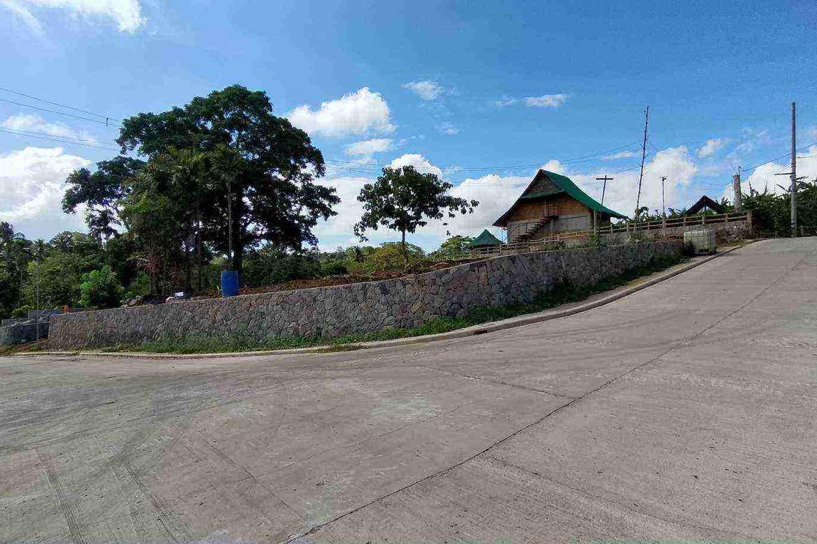 Land for Sale in Mangas I, Alfonso, Cavite – photo 5