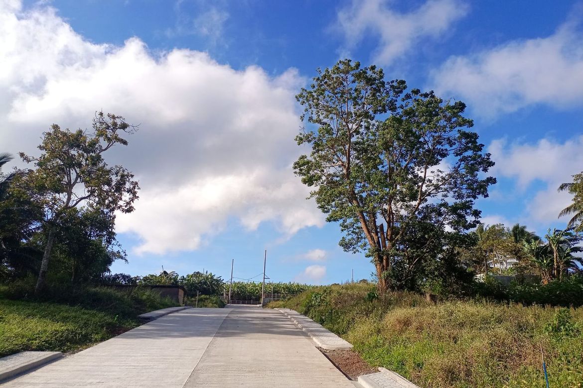 Land for Sale in Mangas I, Alfonso, Cavite – photo 5