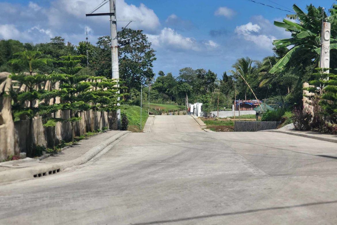 Land for Sale in Mangas I, Alfonso, Cavite – photo 6