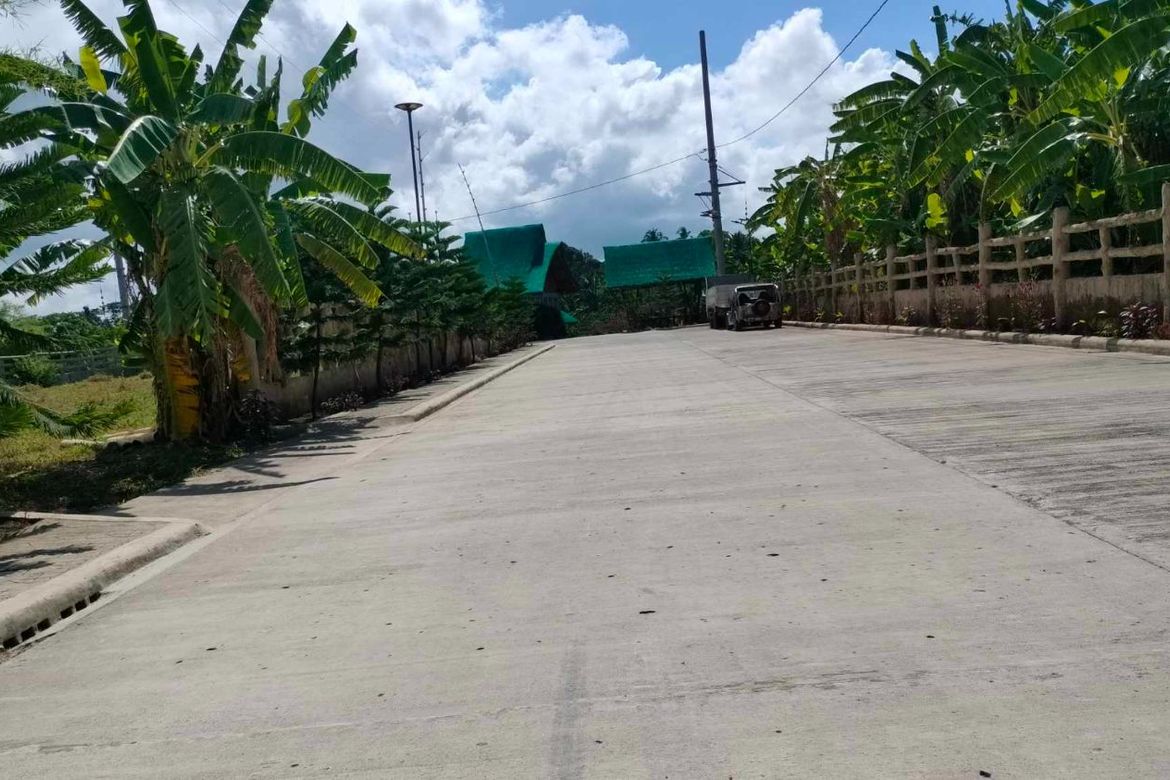 Land for Sale in Mangas I, Alfonso, Cavite – photo 7