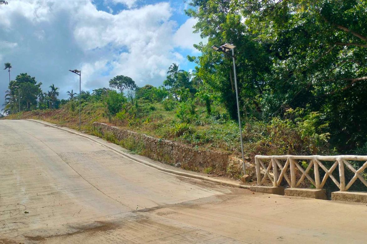 Land for Sale in Mangas I, Alfonso, Cavite – photo 2