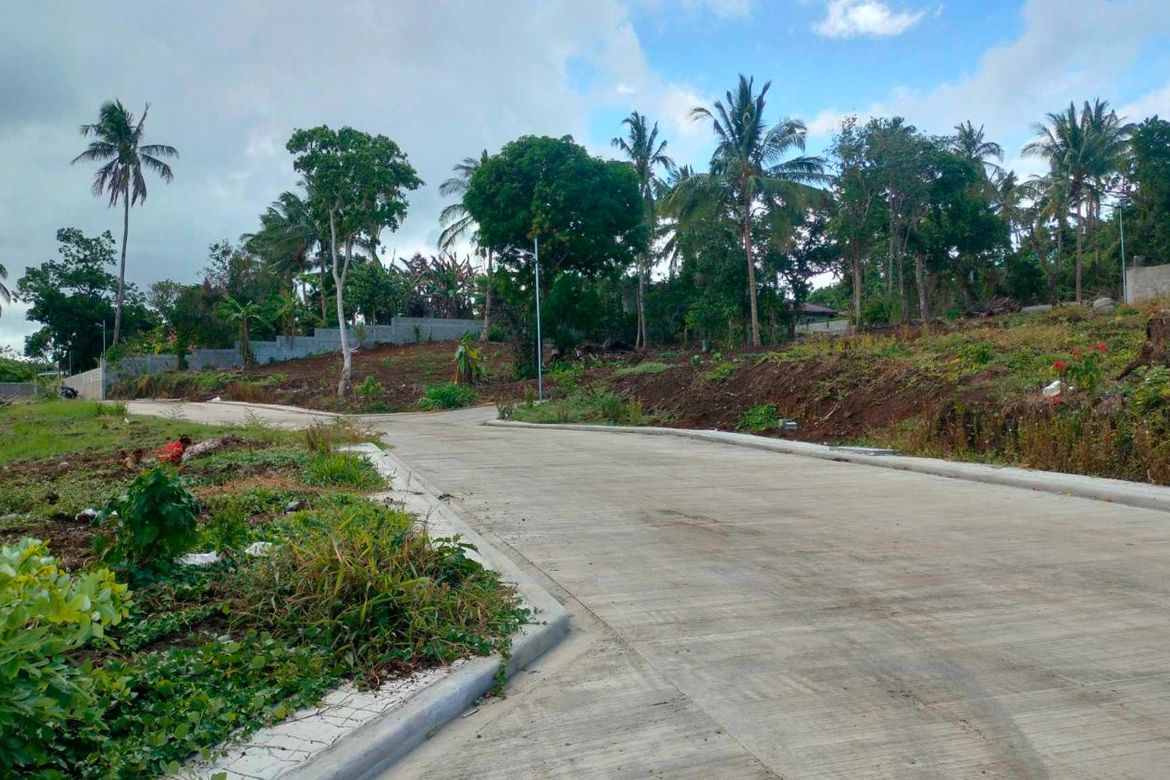 Land for Sale in Mangas I, Alfonso, Cavite – photo 4