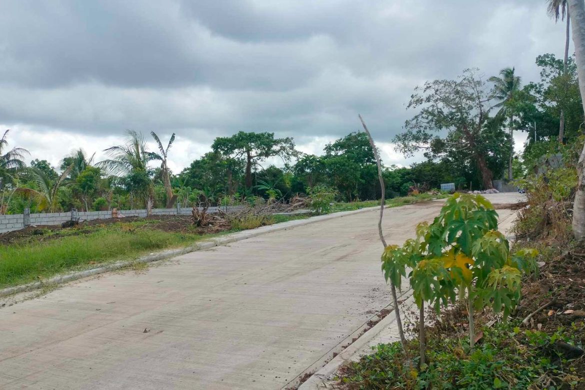 Land for Sale in Mangas I, Alfonso, Cavite – photo 5