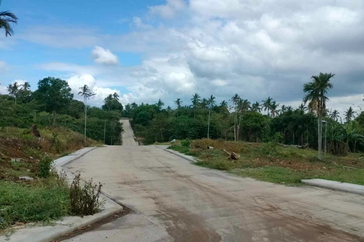 Land for Sale in Mangas I, Alfonso, Cavite – photo 6