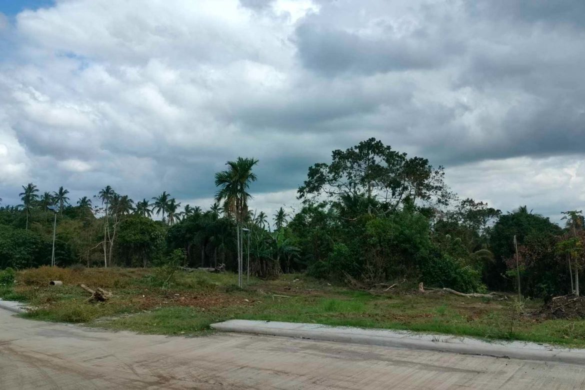 Land for Sale in Mangas I, Alfonso, Cavite – photo 7