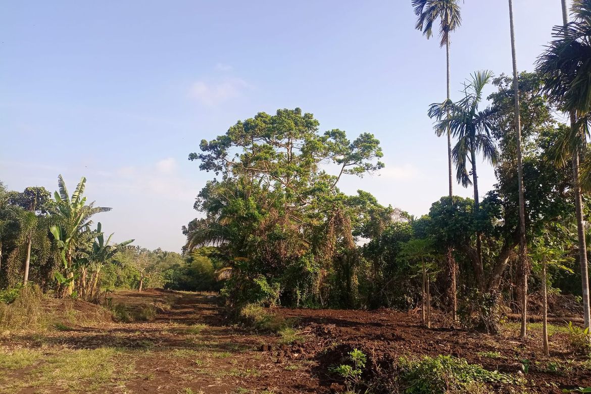 Land for Sale in Mangas I, Alfonso, Cavite – photo 8