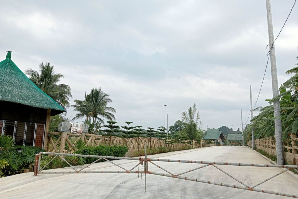 Land for Sale in Mangas I, Alfonso, Cavite – photo 2