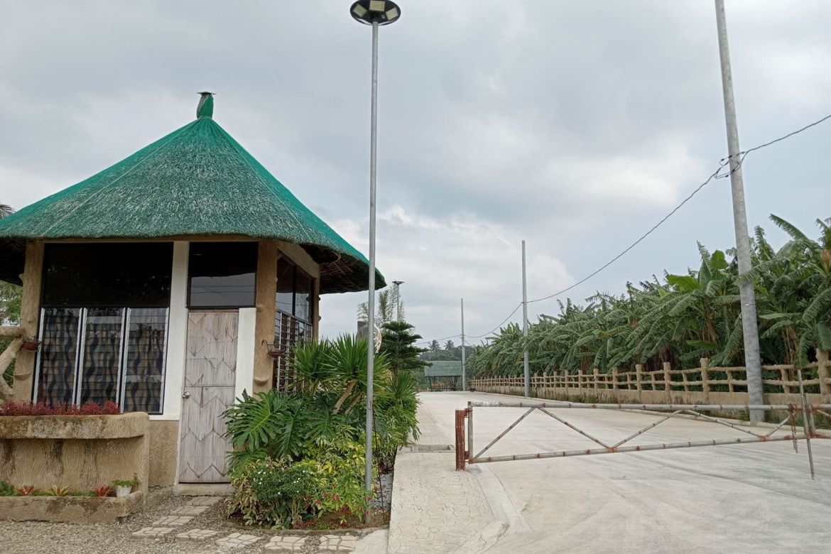 Land for Sale in Mangas I, Alfonso, Cavite – photo 4