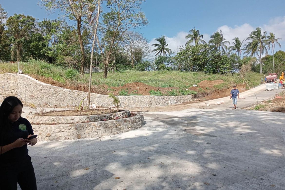 Land for Sale in Mangas I, Alfonso, Cavite – photo 5