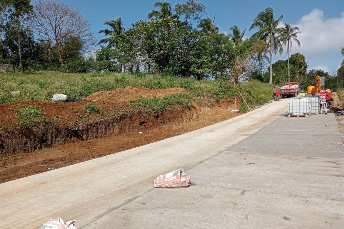 Land for Sale in Mangas I, Alfonso, Cavite – photo 7