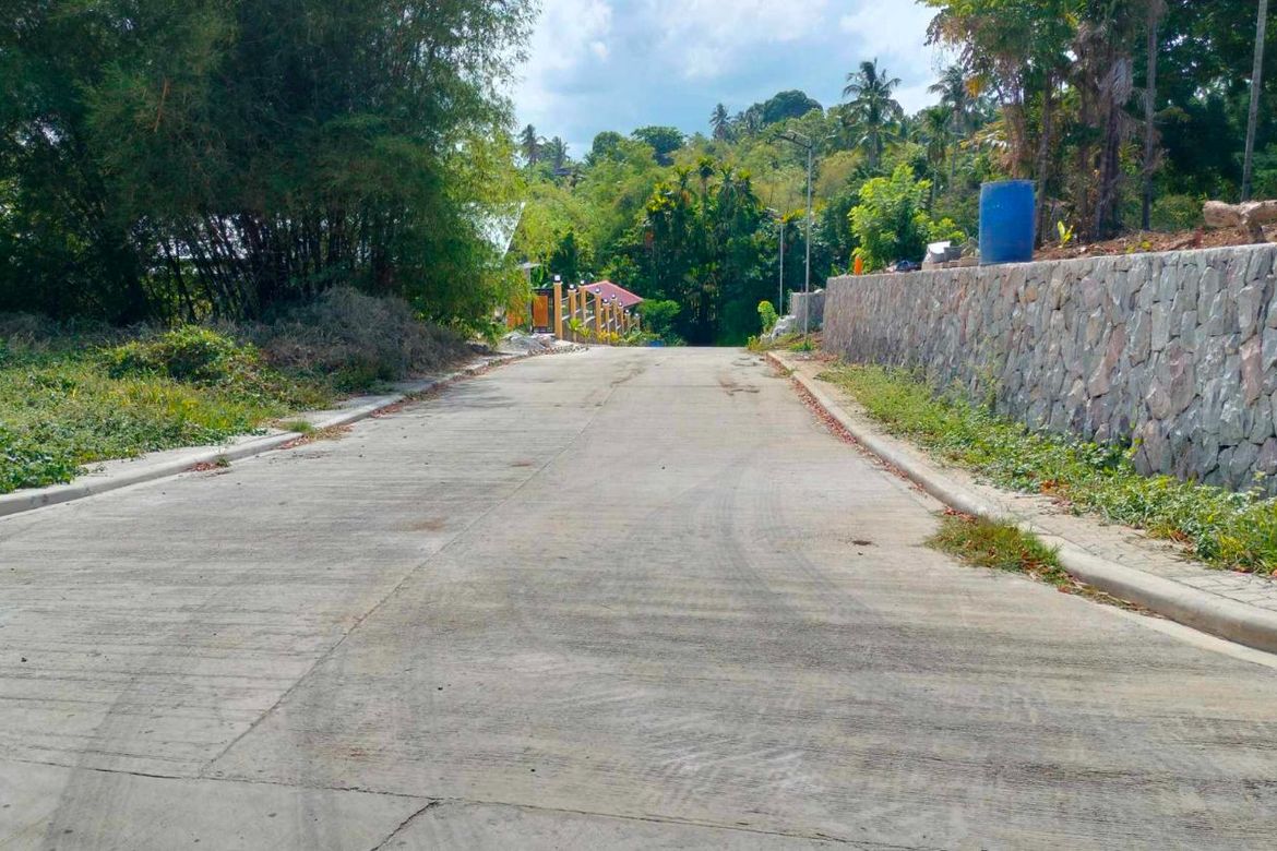 Land for Sale in Mangas I, Alfonso, Cavite – photo 4