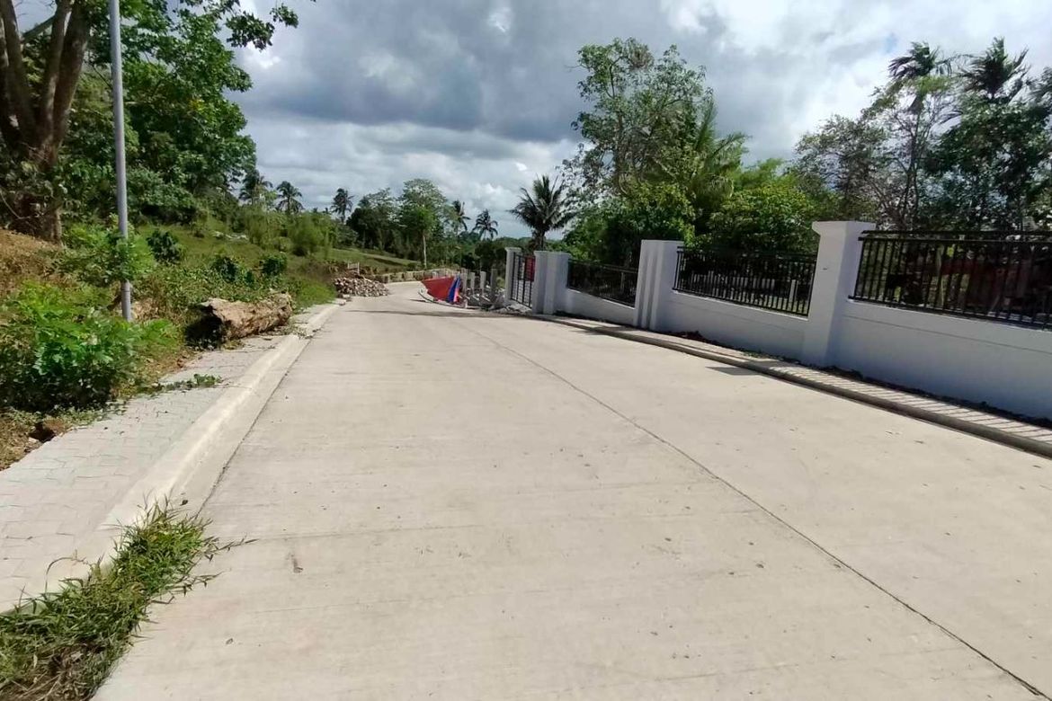 Land for Sale in Mangas I, Alfonso, Cavite – photo 5